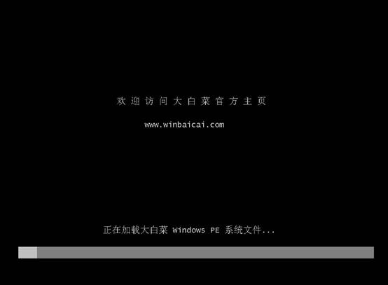 9-進(jìn)入大白菜pe