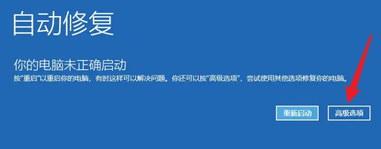 2-高級選項