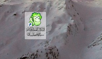 大白菜